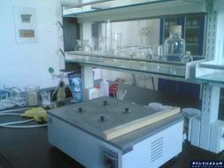 石家莊華宇新銳科技 為保定實驗室提供高品質(zhì)家具與通風(fēng)柜等配套設(shè)備解決方案